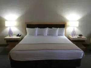 20190416_134337 | Bet-NV.com