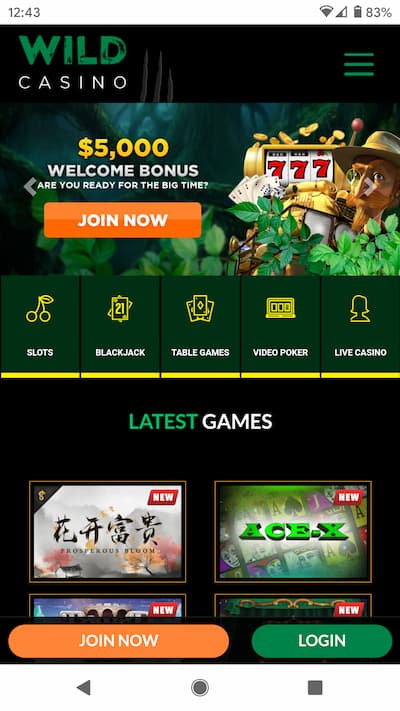 Wild Casino App