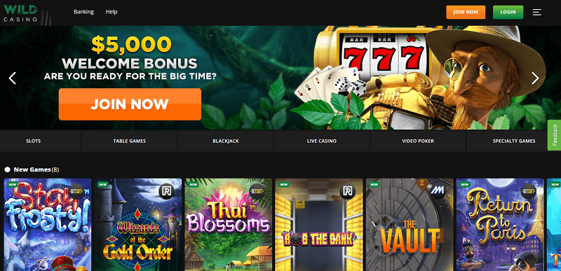 Wild Casino Site