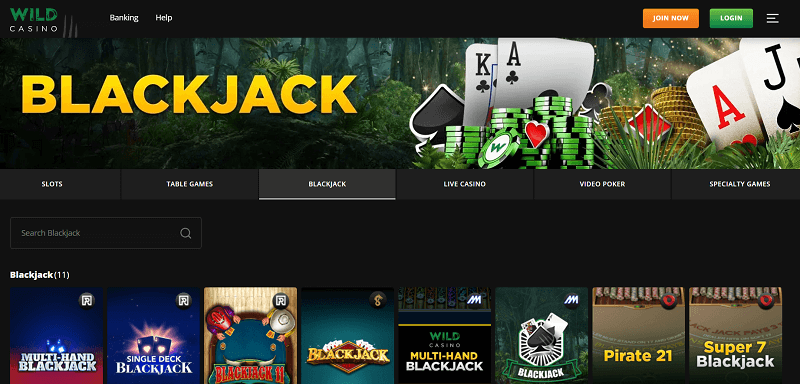 Wild Casino
