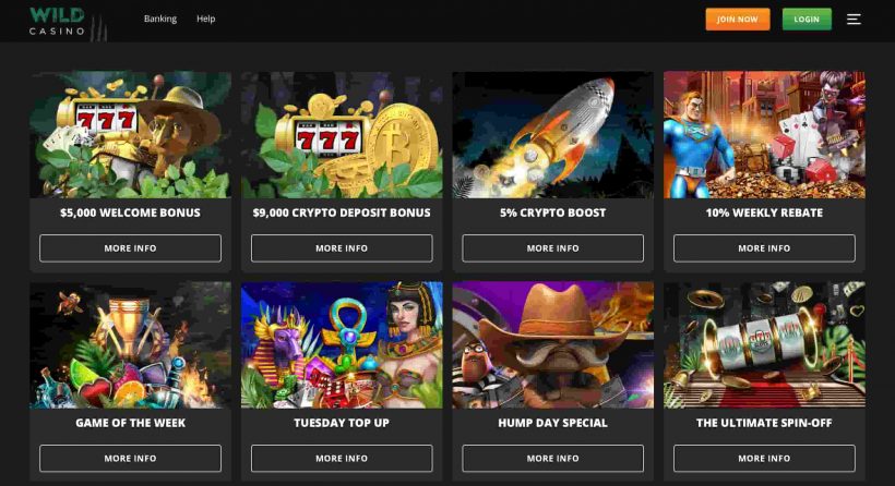 Wild Casino Review Bonuses