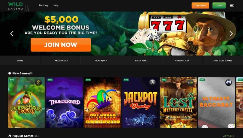 Wild Casino New Slots