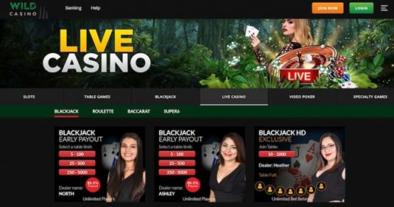 Wild Casino Live Dealer Games