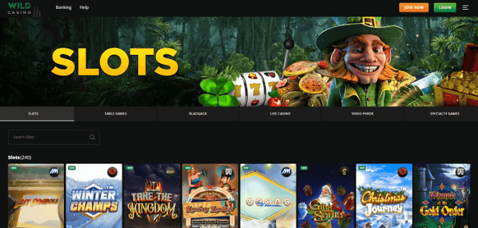 Wild Casino slots