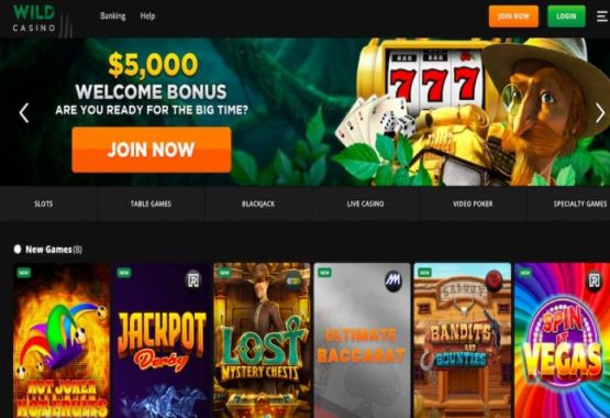 Wild Casino Betsoft