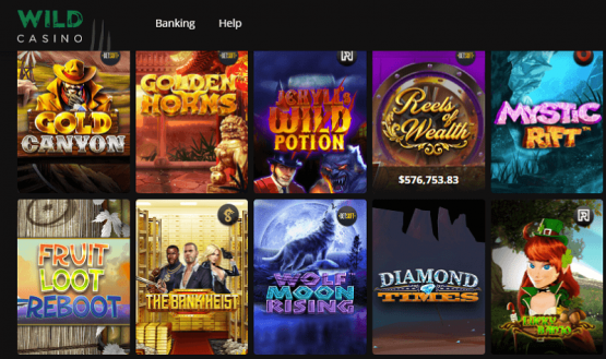 Wild Casino