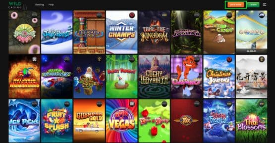 Register at Wild Casino Step 1