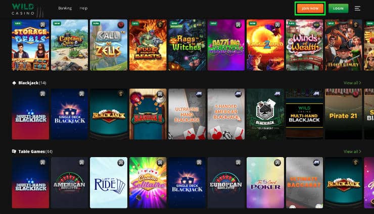 Register at Wild Casino Step 2