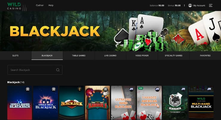 Register at Wild Casino Step 5