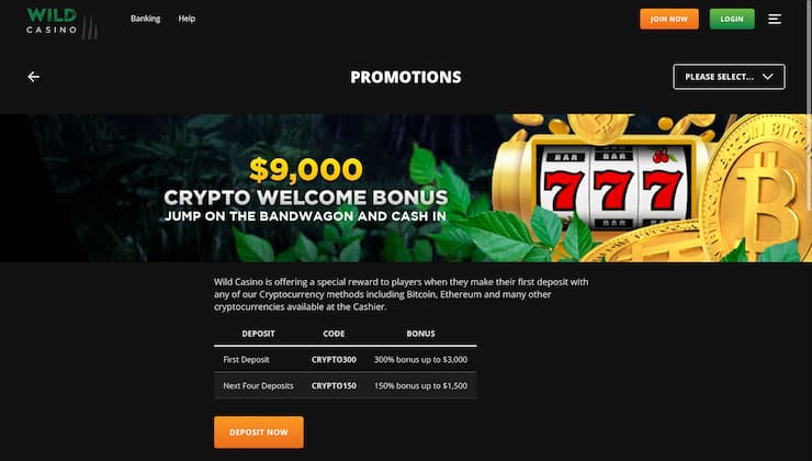 Wild Casino Welcome Bonus