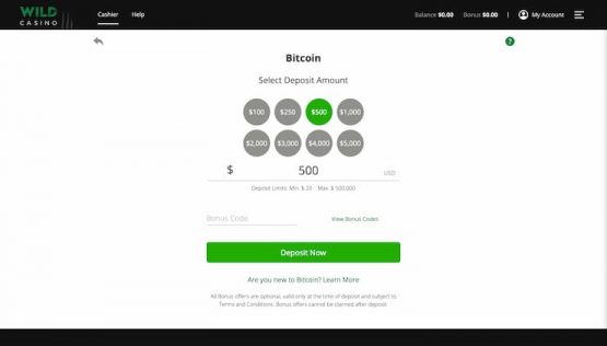 Wild Casino BTC Deposit