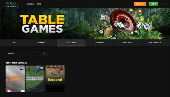 Wild Casino Virtual Bitcoin Baccarat