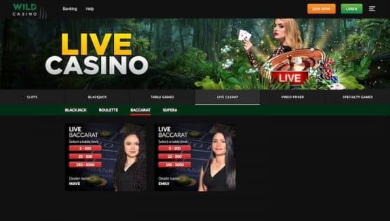 Wild Casino Live Baccarat