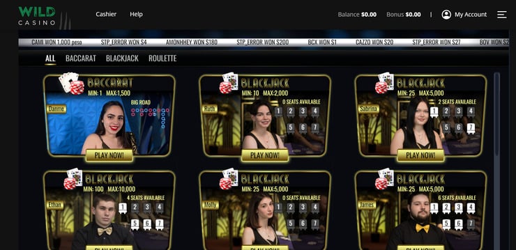 Wild Casino selection