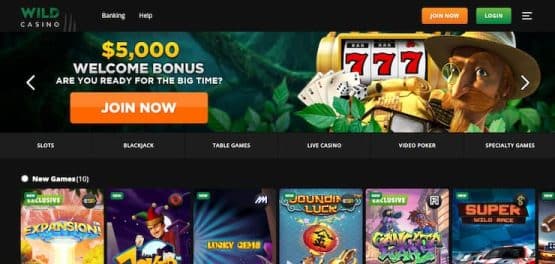 wild casino