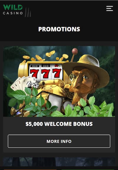 Wild Casino app homepage