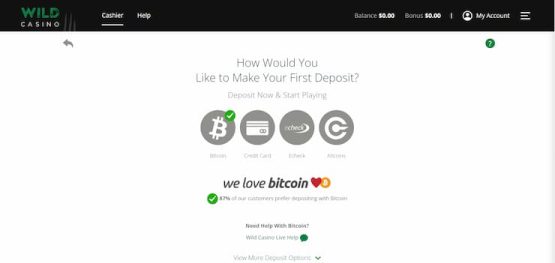 wild casino deposit