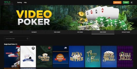 wild casino step 3