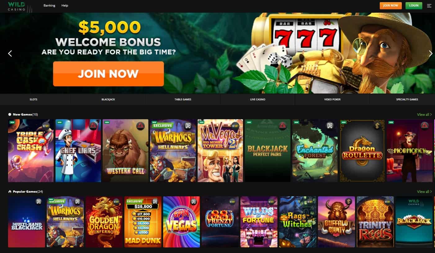 Wild Casino Casino