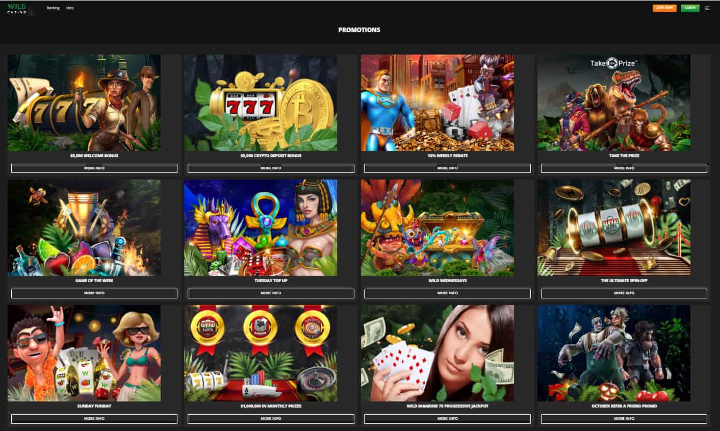 Wild Casino Real Money Bonus Codes