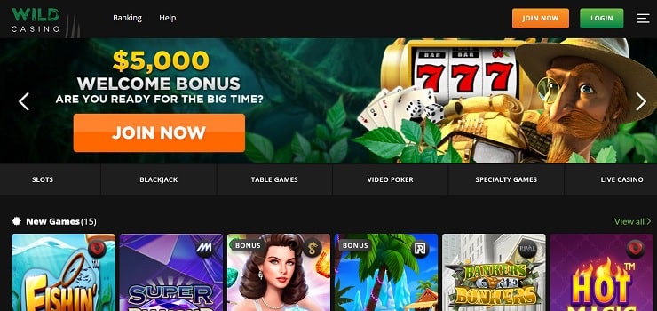 Step 1: Choose an Offshore Casino